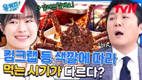 날이 풀렸을 땐 이 킹크랩을 드세요! 수산시장 사장님이 알려주는 구매 팁★ | tvN 240410 방송