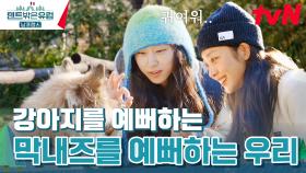 막내즈와 강아지의 조합? 보기만 해도 흐뭇~ (ft. 조보아 플러팅) | tvN 240414 방송
