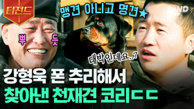 맹견에서 명견으로❓ 강형욱까지 놀라게 만든 똑똑이 등장! 🐕 사람보다 영리한 천재견 코리 | #고독한훈련사 #티전드