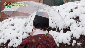양촌리에 울려 퍼지는 의문의 방송! 〈전원일기〉 불암의 소꿉친구 복점의 방문?😲 | tvN STORY 240422 방송
