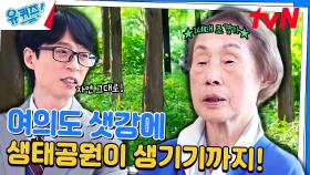 여의도 샛강에 나무를 없애고 주차장을? 극구 말렸던 조경가 정영선 자기님! | tvN 240501 방송