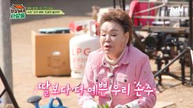 ＂손주 보면 인생이 달라져~＂ 김수미가 이야기하는 할머니의 세계 | tvN STORY 240506 방송