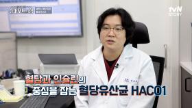 고혈당뿐만 아니라 장내 미생물까지 조절하는 '혈당 유산균' | tvN STORY 240512 방송