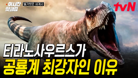 [#벌거벗은세계사] 공룡계의 슈퍼스타★ 티라노사우루스가 가장 강력한 공룡인 이유는 바로 이것?!
