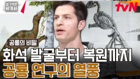(놀람 주의) 공룡 화석의 발굴과 복원 과정, 낱낱이 파헤쳐 드립니다! | tvN 240514 방송