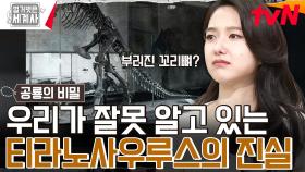 우리가 알던 티라노사우루스의 정보는 잘못됐다? (ft. 학자들의 욕심) | tvN 240514 방송