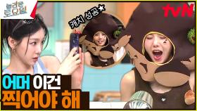 〈코요태 - 실연♪〉 진기명기ㅋㅋㅋ 써머 퀸 은비🌞 강냉이 슈퍼 캐치😋? 이건 귀하다… | tvN 240615 방송