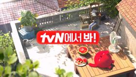 [tvN 라인업] 7월의 tvN📆
