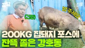 〈옥자〉 도플갱어 200kg 돼지 등장ㄷㄷ😱 어마 무시한 크기에 강호동 단단히 겁먹음ㅋㅋㅋ | 섬총사2