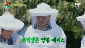 양봉꾼으로 변신한 김회장네! 정신없는 식구들 사이 홀로 평온한 양봉 에이스 김용건🐝 | tvN STORY 240722 방송