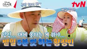 쓰읍... 체질인데..? 게스트로 와서 적성을 찾은(?) 황정민ㅋㅋㅋㅋㅋ 내가 농부가 될 상인가 | tvN 240725 방송