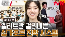 초등학교 때 수능을 본다..? 싱가포르의 '차등 교육 시스템' (PSLE) | tvN 240723 방송