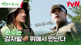 원종이 (배역상) 싫어하는 게스트🗡️와 함께 별거 아닌(?)🙄 감자 캐기 시작🥔 #유료광고포함 | tvN 240727 방송