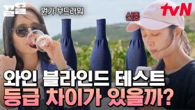 부르고뉴 와이너리 투어에 간 와알못 캠퍼즈🍷 블라인드 시음을 하고 와인의 등급을 맞춰라! 이러다 취하겠어~😵 | 텐트밖은유럽남프랑스편