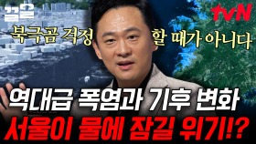 마지노선도 넘어버린 역대급 기후 재앙...! 전 세계에 쏟아지는 재난급 폭염과 이상 기후에 초비상 걸린 지구의 운명 | 어쩌다어른