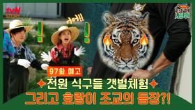 [예고] 갯벌체험하는 날에 나타난 호랑이 조교?!🐅