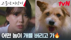 고물상에 버려진 강아지?! 임세미, 유기범 향한 격한 분노♨︎ | tvN 240819 방송