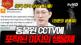 동물원에서 발견된 미스터리한 생명체ㄷㄷ 외곽을 서성거리던 기이한 존재 