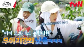 보여줄게 완전히 달라진 나의 낫질 💥스트레스 쫙쫙💥 풀리는 옥수수 베기 | tvN 240822 방송