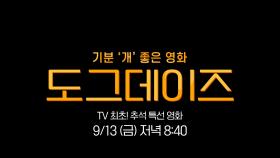 ＜도그데이즈＞와 함께 연휴를 느낌좋개🐶 시작 | 2024 tvN 추석 특선 영화