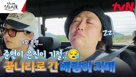 고된 고구마 작업에 기절해버린 베짱이 자매💤 저희 먼저 (꿈나라로) 가요오... | tvN 240919 방송