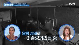 CCTV에 담긴 충격적인 모습! 밤마다 서성이며 이웃의 창문을 두드리는 이유는? | tvN 240926 방송