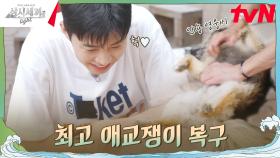 손님이 왔다고~? 그럼 내가 애교를 부려볼게🐶 | tvN 240927 방송