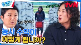 첫 농사에 비해 10배 이상 늘었다? 