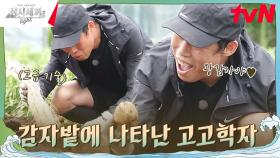 감자밭에 대단한 것이~? 비켜보십시오 제 전문입니다. | tvN 241004 방송