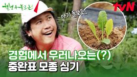 (아빠) 중완 왈. 모종 심기는 아기 돌보듯 해라.🌱 #유료광고포함 | tvN 241012 방송