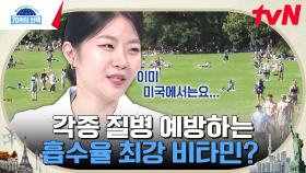 세계 최대 규모 건강식품 시장 1위 미국, 면역력에 가장 효과적이라는 핫한 비타민의 정체는? | tvN 241017 방송