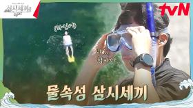 보기만 해도 시원~🌊 세끼 식구들의 물놀이 | tvN 241018 방송