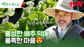 푸릇푸릇하게 잘~ 자란 (비싼) 배추🍃 이게 불로촌 표 행복이지ㅋㅋ🥰 #유료광고포함 | tvN 241026 방송