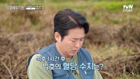 식사 후 혈당이 급격히 오르는 숨은 당뇨 💥혈당 스파이크💥 | tvN STORY 241110 방송