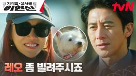 고수, 지동만 회장의 전 부인 황우슬혜 찾아가 반려견 레오 뺏기 시도! | tvN 241118 방송