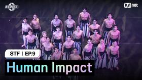 [스테파/9회] Human Impact @STF 쇼케이스 오프닝 | Mnet 241126 방송