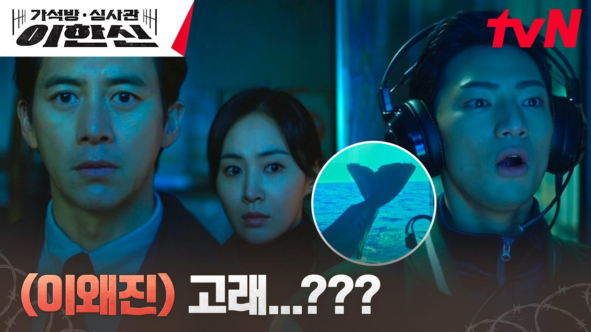 //기습진입// 고수X권유리, 범죄 수익금 찾으러 들어간 창고에서 마주한 건 고래...?!! | tvN 241126 방송 | ZUM TV