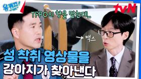 성 착취 영상물을 발견하는 전자기기 탐지견🐶 들어보셨나요? | tvN 241211 방송