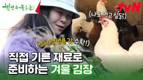 [A to Z 흙남매표] 김장 양념도 예사롭지 않은 흙남매 표 김장 준비🌿(ft. 🐓) #유료광고포함 | tvN 241214 방송