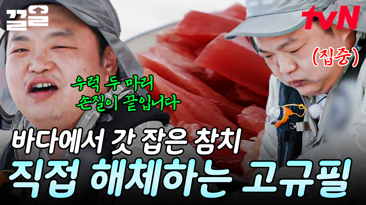 요트 낚시로 대왕 참치 낚은 고규필ㄷㄷ 날마다 오는 게 아닙니다! 고규필의 참치 해체 SHOW🐟 | 바닷길선발대 | ZUM TV
