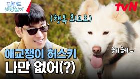 (이 조합 찬성~) 이제훈 앞에서 애교 폭발인 허스키🐶 | tvN 250103 방송