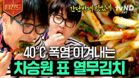 당장 밥 비벼 먹고 싶은 맛🍚 집 나간 입맛도 돌아오게 만드는 차셰프 표 열무김치 | #삼시세끼Light #티전드