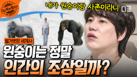 인류의 조상은 원숭이가 아니다...? 인간 기원에 대한 모든 것 〈인류 분류법과 진화론〉 | #벌거벗은세계사 #지금꼭볼동영상