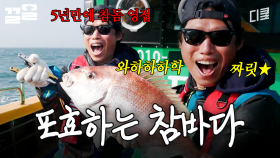 🎉경축, 참돔님 영접🎉 기다리고 기다리던 참돔 잡고 도파민 폭발한 유해진ㅋㅋ | 삼시세끼어촌편5