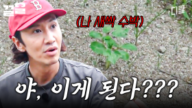 이게 진짜 되네;; 먹고 남은 수박씨를 심었더니 새싹이 자라났다ㄷㄷ | 콩콩팥팥