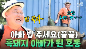 ★섬돼장 탄생의 순간☆ 초도 흑돼지의 귀여움에 푹 빠진 강호동ㅋㅋㅋ | 섬총사2