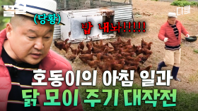 강호동이 분노한 닭들에게 당하는 영상ㅋㅋㅋ 아침잠이 확 깨는 대환장 닭 모이 주기 | 섬총사2