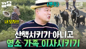 초록 풀이 가득한 풀세권 지역을 찾아서🔥 섬돼장의 염소 가족 이사시키기 | 섬총사2