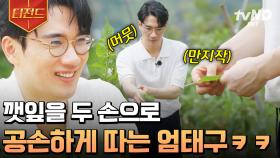 세상에서 제일 공손하게 깻잎 따는 중💚 파워 내향인 엄태구 모먼트 | #삼시세끼Light #티전드