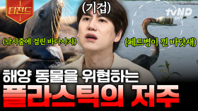 플라스틱 쓰레기에 뒤덮이고 있는 지구🥵 생태계를 위협하는 플라스틱의 치명적 문제 | #벌거벗은세계사 #티전드